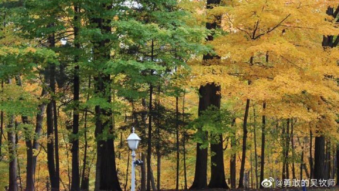 原来肖战思考得这么细